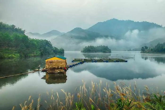 Xuan Son National Park